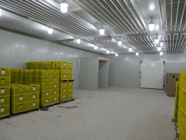 柯城区速冻冷库生产厂家